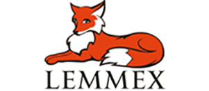 Интернет-магазин модных головных уборов "Lemmex"